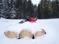 Pause im Wald Pause im Wald