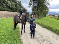 Reiten