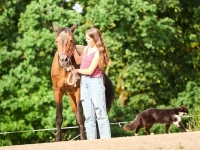 Unser Pferd Bruno der Freund aller Kinder