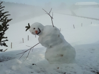 Schneemann müde