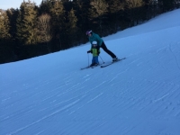 Skifahren