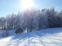 Winterlandschaft